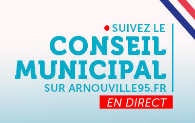 Conseil municipal en direct